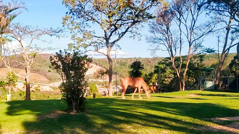 Refúgio Perfeito na Natureza para Até 20 Pessoas!