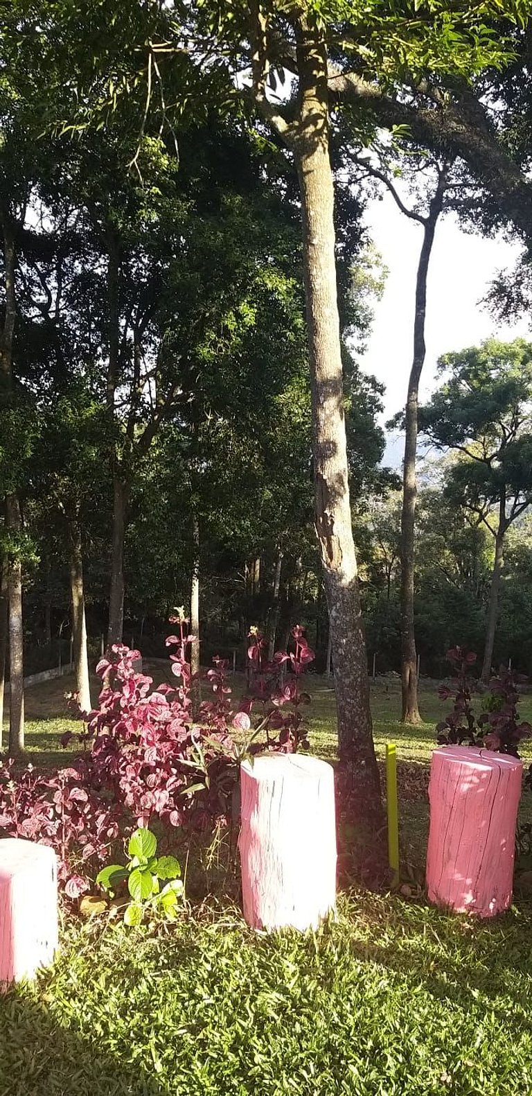 Vista Panorâmica Natureza e Montanhas- Mairiporã