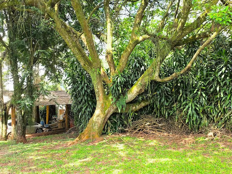 Um Refúgio em Piracaia com piscina e lago