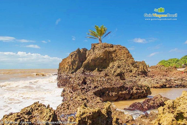 Estúdio Aconchegante 50m da Praia de Jacumã