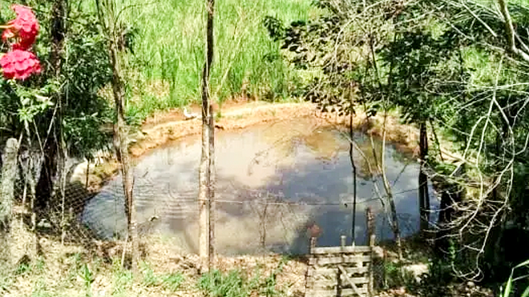 Lazer Completo: Piscina, Churrasqueira e Lago
