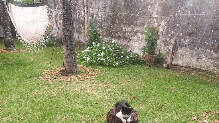 Descanso e Natureza: Casa para Família em Serra/ES