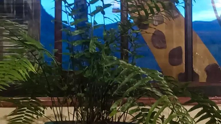 Excelente Sítio Piscina e Vista Serra de Aiuruoca