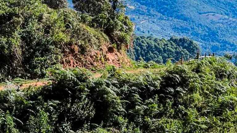 Excelente Sítio Piscina e Vista Serra de Aiuruoca