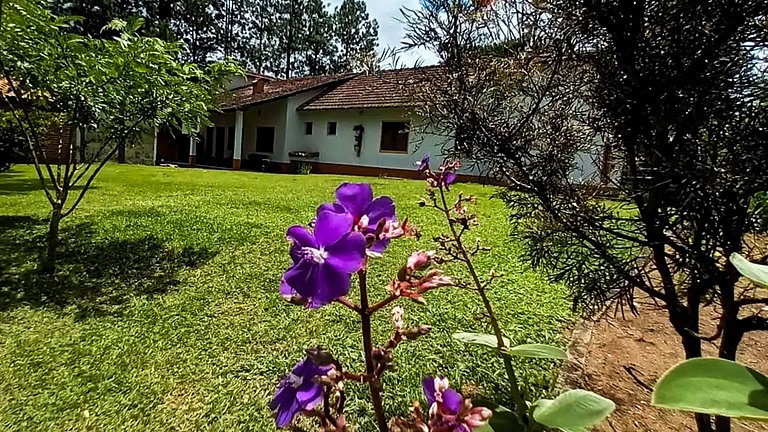 Sítio com Piscina e Vista na Serra de Aiuruoca