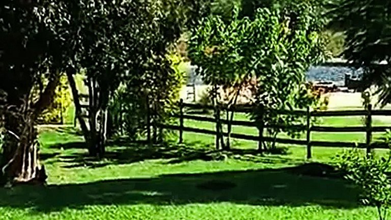 Sítio com Piscina e Vista na Serra de Aiuruoca