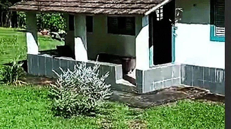 Sítio com Piscina e Vista na Serra de Aiuruoca