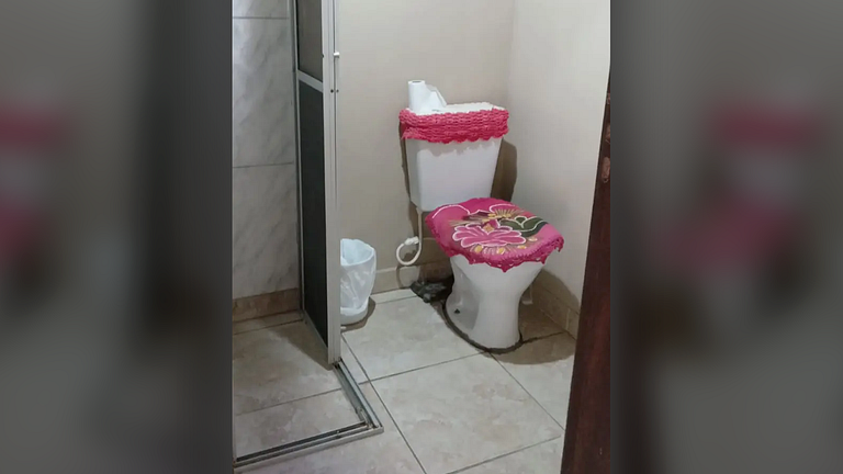 Sítio em SC: Cachoeira, Cavalos e Animais
