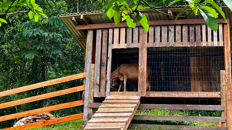 Sítio em SC: Cachoeira, Cavalos e Animais