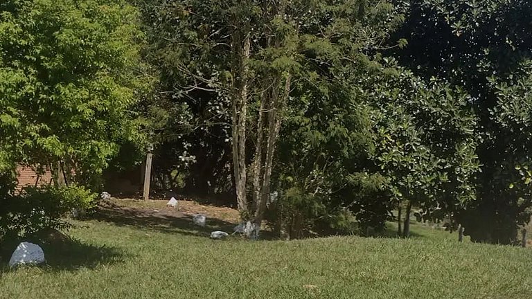 Chácara até 20 pessoas: Piscina e Churrasqueira.