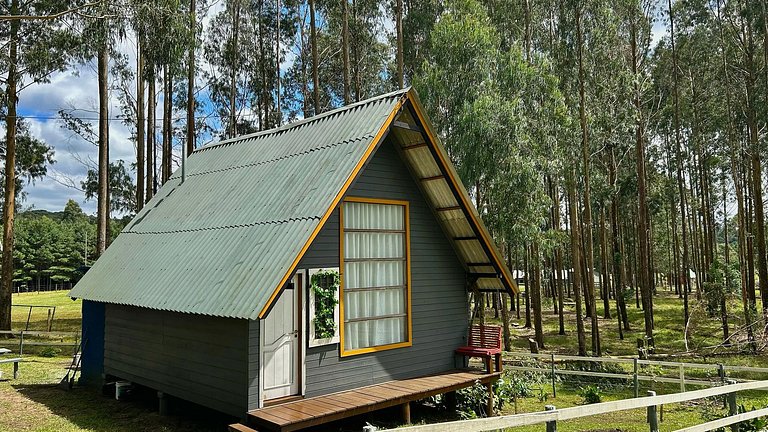 Seu Chalé Serra Catarinense : Wi-Fi e muito espaço