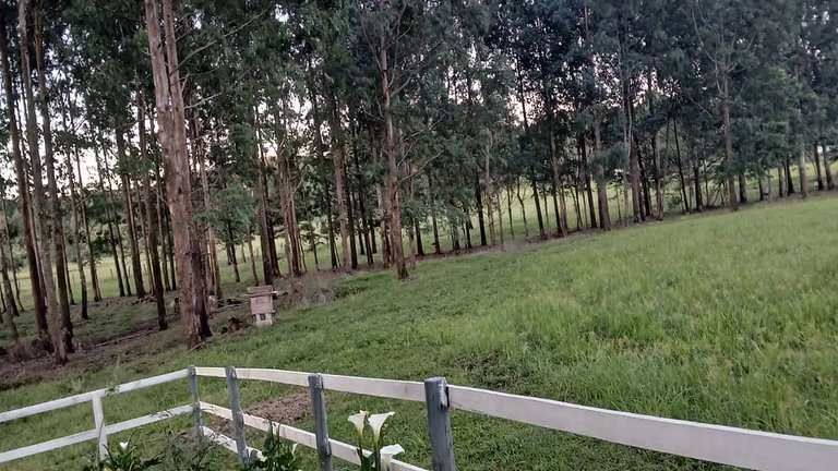 Seu Chalé Serra Catarinense : Wi-Fi e muito espaço