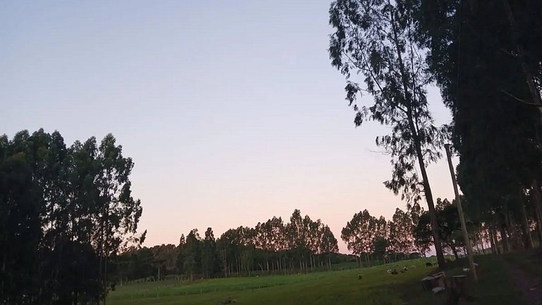 Seu Chalé Serra Catarinense : Wi-Fi e muito espaço