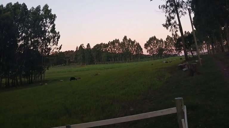 Seu Chalé Serra Catarinense : Wi-Fi e muito espaço