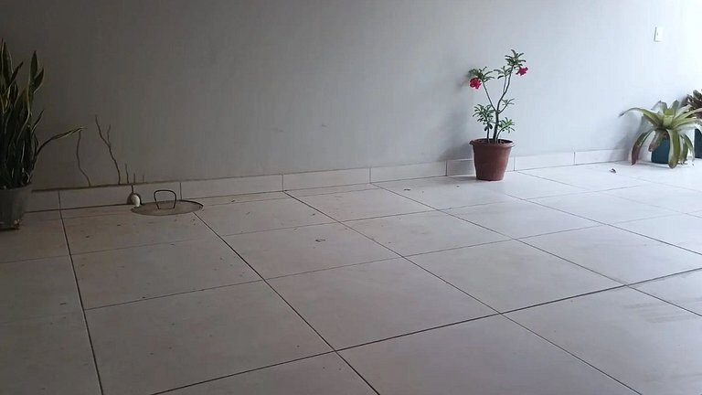 Luis Correia - Casa de 4 Quartos com Churrasqueira