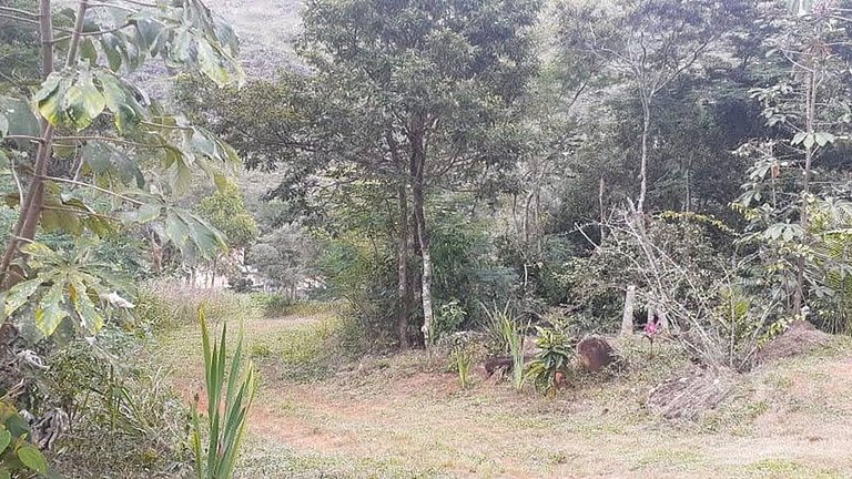 Itambé: Casa de Campo 4 Quartos perto da Cachoeira