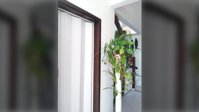 Caraguatatuba: Churrasqueira e Ar Condicionado