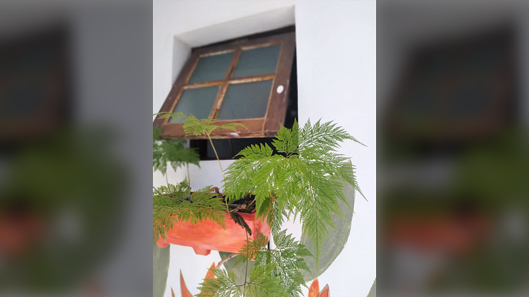 Caraguatatuba: Churrasqueira e Ar Condicionado