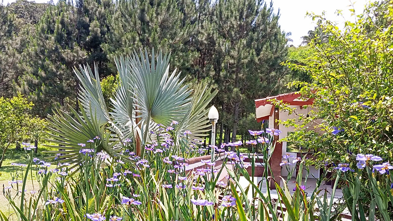 Conforto em Juquitiba: Piscina e Lago para Pesca