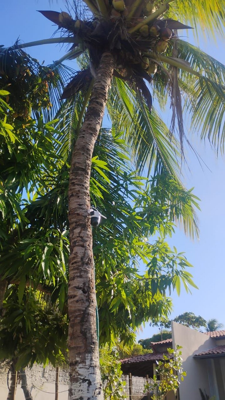 Camaçari casa 2 quartos, Piscina e Churrasqueira