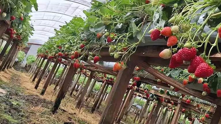 Refúgio Diferenciado na Serra Jacuzzi, Rio em SC