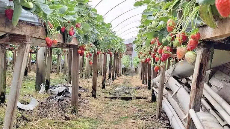 Refúgio Diferenciado na Serra Jacuzzi, Rio em SC