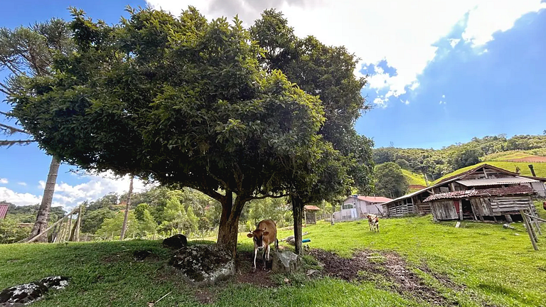Refúgio Diferenciado na Serra Jacuzzi, Rio em SC