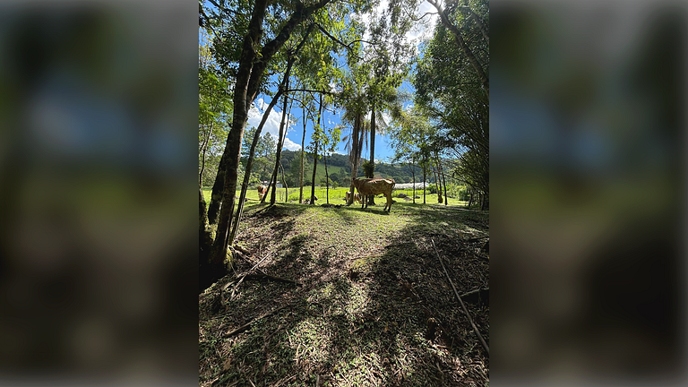 Refúgio Diferenciado na Serra Jacuzzi, Rio em SC