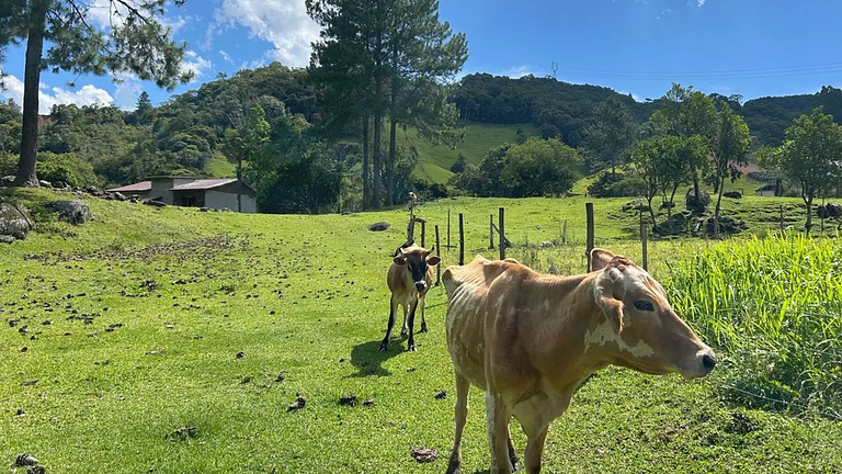 Refúgio Diferenciado na Serra Jacuzzi, Rio em SC