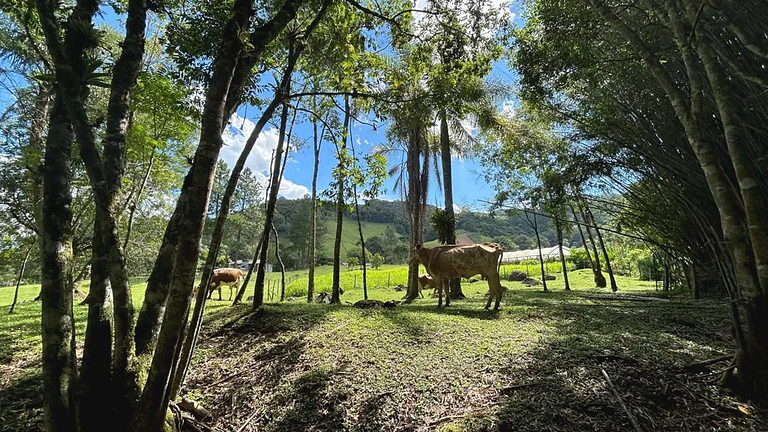 Refúgio Diferenciado na Serra Jacuzzi, Rio em SC