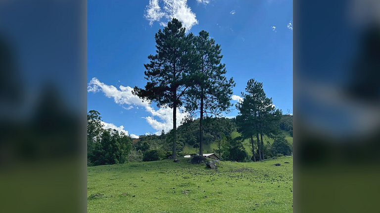 Refúgio Diferenciado na Serra Jacuzzi, Rio em SC