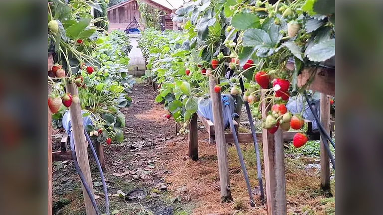 Refúgio Diferenciado na Serra Jacuzzi, Rio em SC