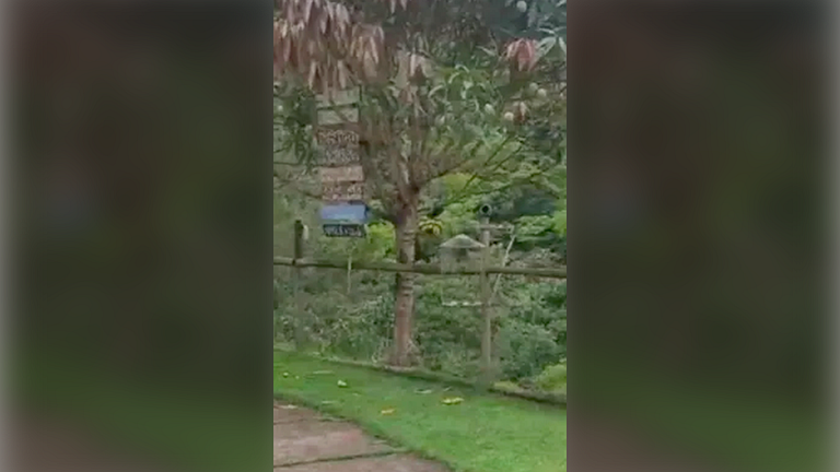 Santa Teresa/ES: Sítio com Churrasqueira e Piscina