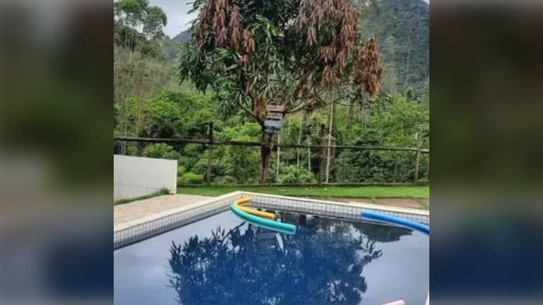 Santa Teresa/ES: Sítio com Churrasqueira e Piscina