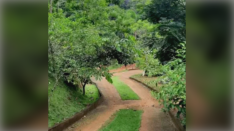 Santa Teresa/ES: Sítio com Churrasqueira e Piscina