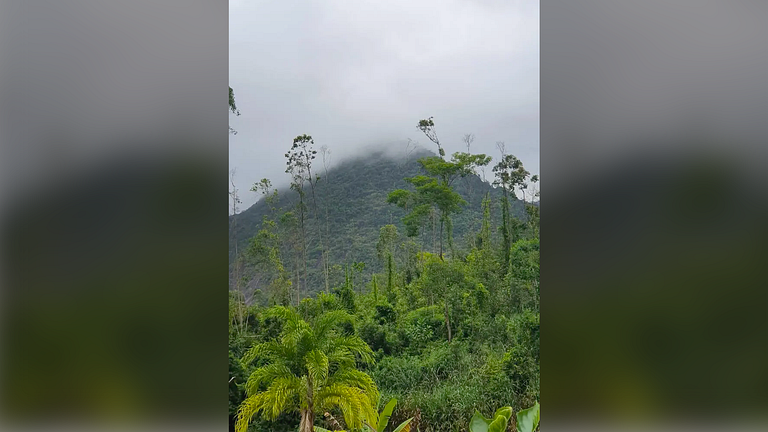 Santa Teresa/ES: Sítio com Churrasqueira e Piscina