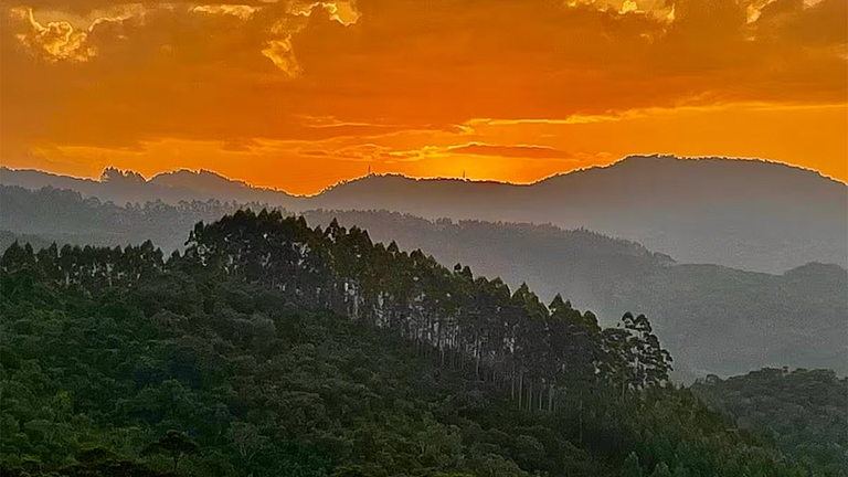 Cabana com Vista Montanha e Rio Capivari