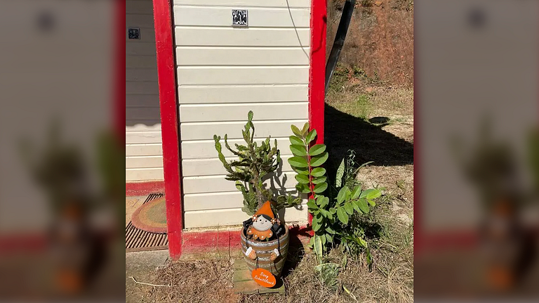 Cabana com Vista Montanha e Rio Capivari