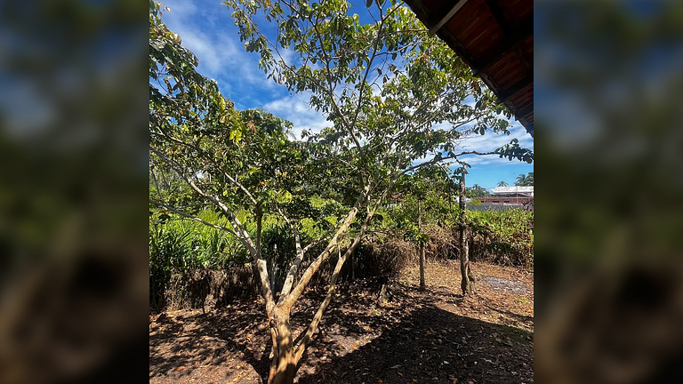 S Francisco do Sul Ampla Varanda ar-condicionado