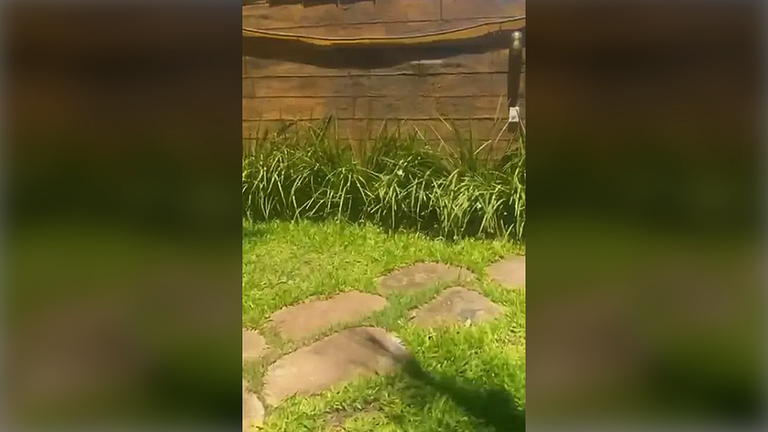 Casa Perto do Mar com Piscina e Churrasqueira