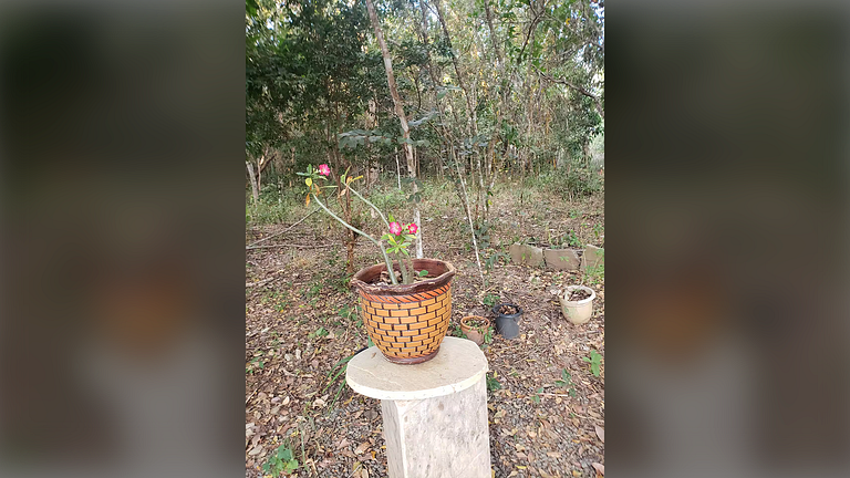 Pirenópolis com Piscina Aquecida e Churrasqueira