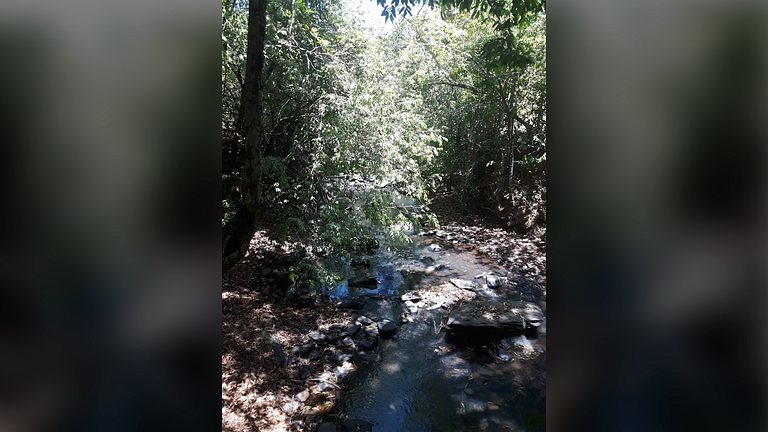 Pirenópolis com Piscina Aquecida e Churrasqueira