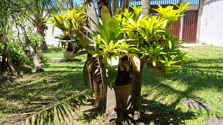 São Pedro da Aldeia: Casa Ampla c/ Piscina e BBQ