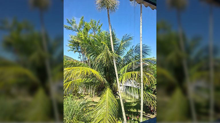 São Pedro da Aldeia: Casa Ampla c/ Piscina e BBQ