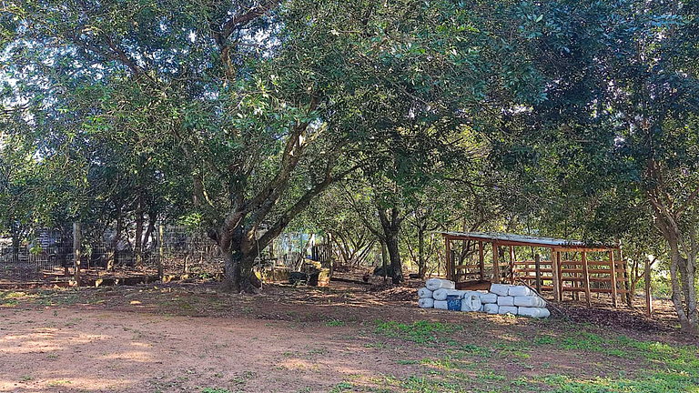 Santo Antônio da Patrulha Refúgio c/ Lago e Ar
